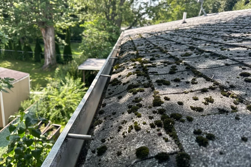 Project Roof Before Roof Replacement