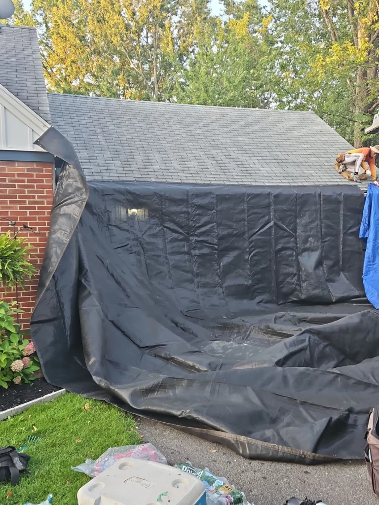 During Project Image 6