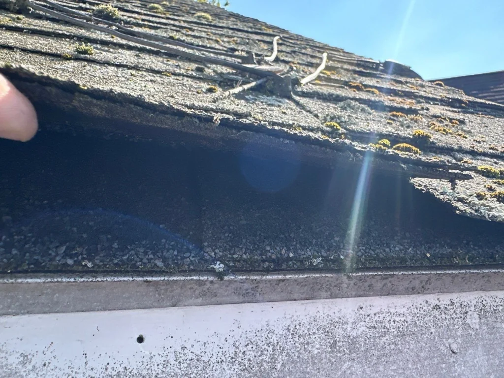 Orchard Park - Showcasing before roof replacement image 1