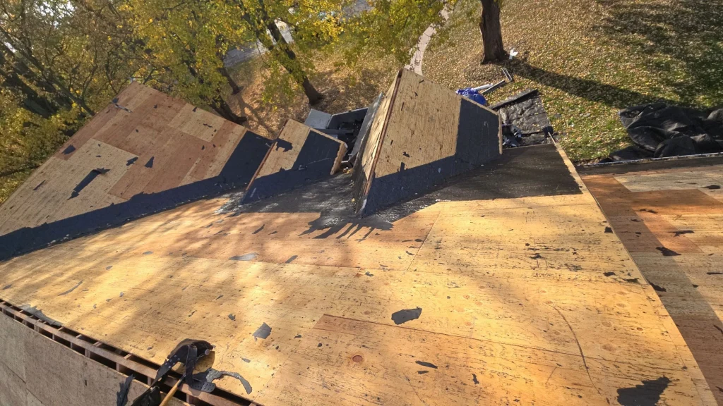 Orchard Park - Showcasing before roof replacement image 4