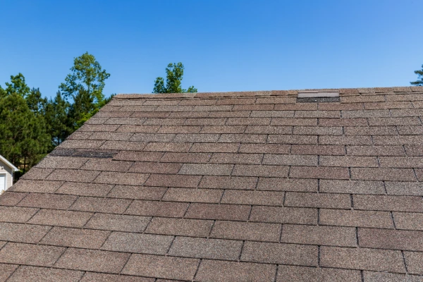 Close-up of missing and aging asphalt shingles on a residential roof showing signs of wear and granule loss