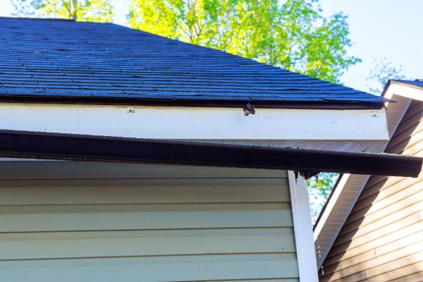 Gutter separating from the fascia board on a residential home showing signs of roof damage