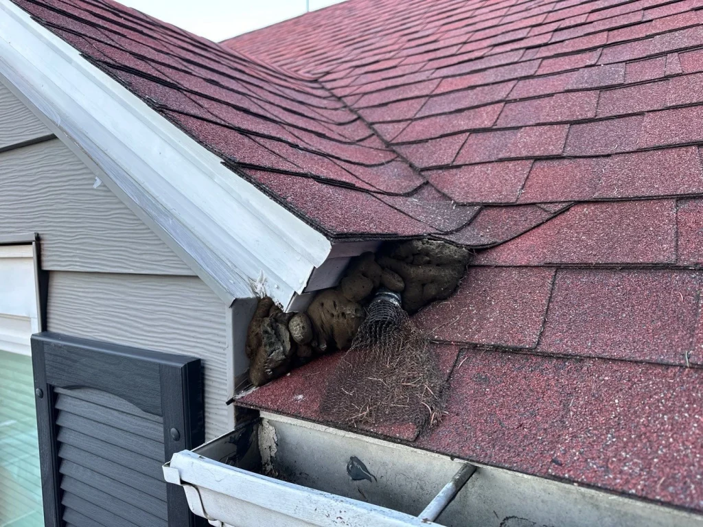 Before photo of damaged roof eave and improperly positioned gutter on a Hamburg, NY home