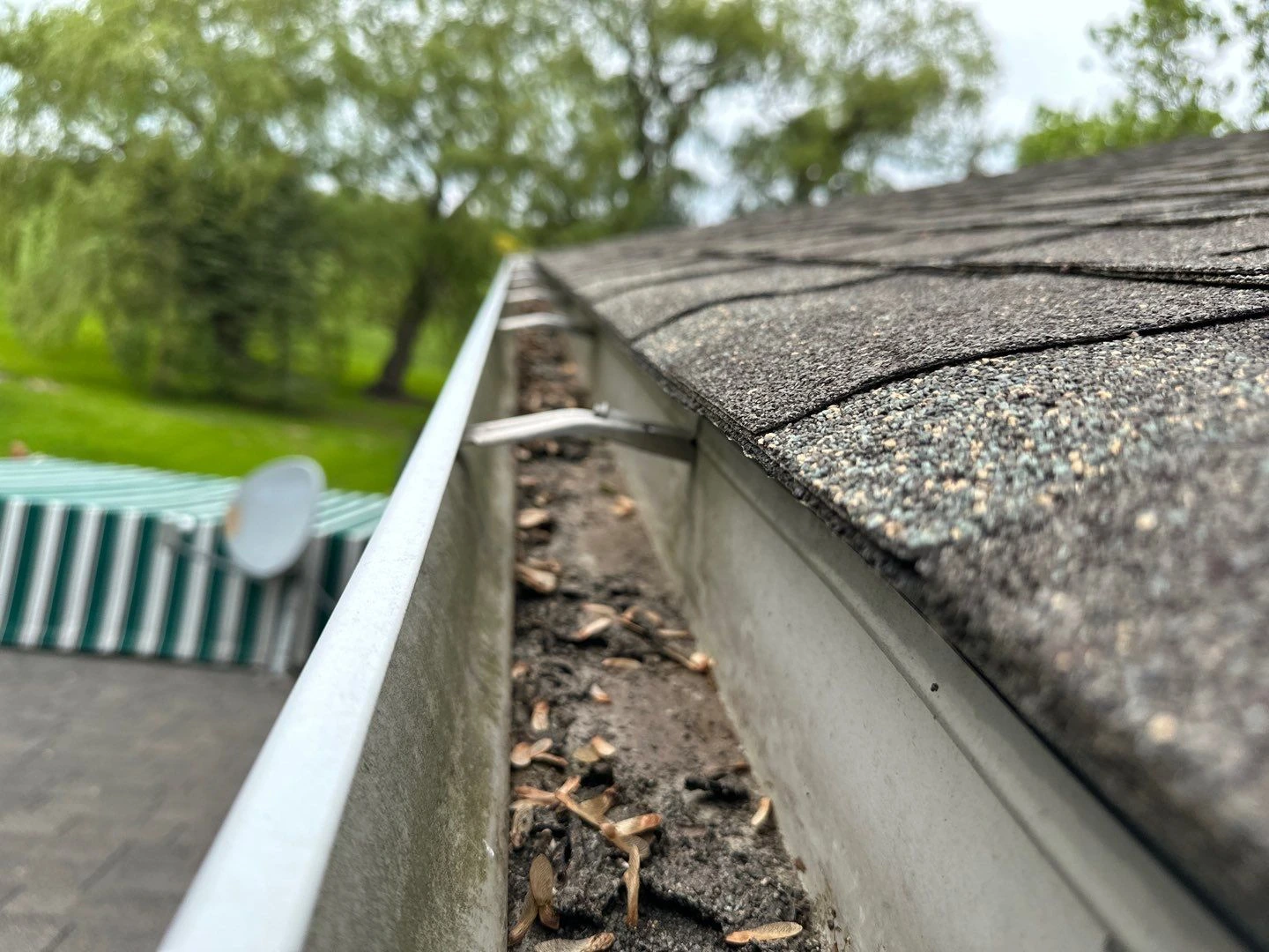 Debris buildup in gutter before gutter replacement at an Angola, NY home