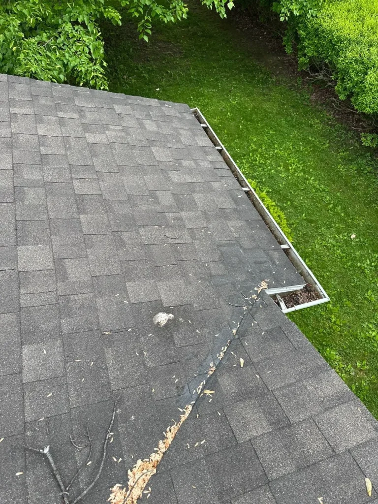 Existing asphalt shingle roof and debris-filled gutter before replacement work in Angola, NY